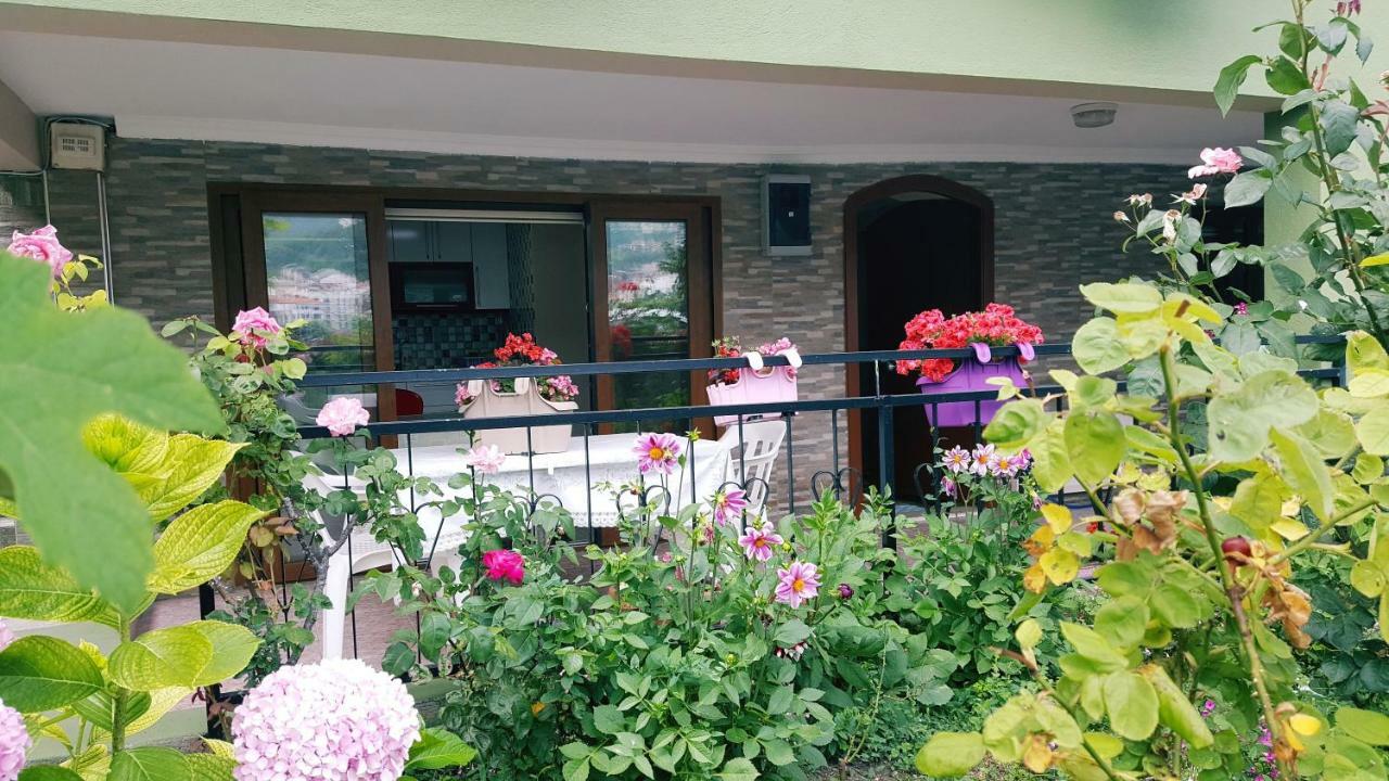 Boztepe Apart Amasra Exteriér fotografie